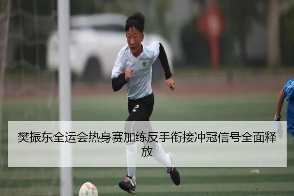樊振东全运会热身赛加练反手衔接冲冠信号全面释放